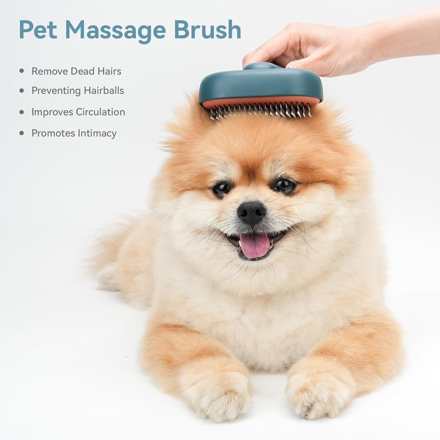 Premium Self-Cleaning Slicker Brush | Skin-Friendly Deshedding Grooming Tool | For Long & Short-Haired Dogs & Cats
