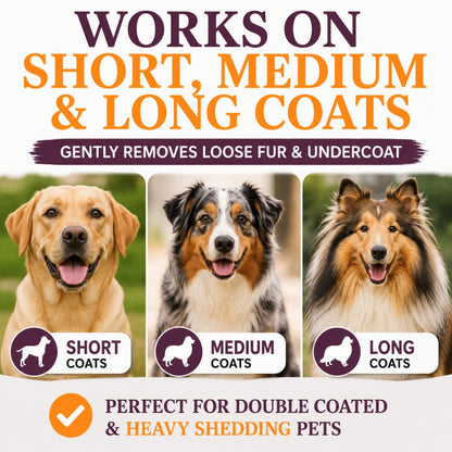 Premium Deshedding Dog Brush | Patented Grooming Tool for Short, Medium & Long Coats | 5-Inch Pet Hair Remover