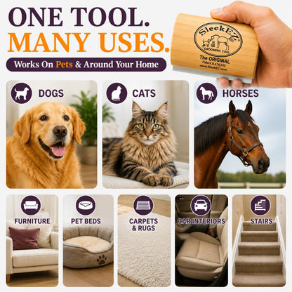 Premium Deshedding Dog Brush | Patented Grooming Tool for Short, Medium & Long Coats | 5-Inch Pet Hair Remover