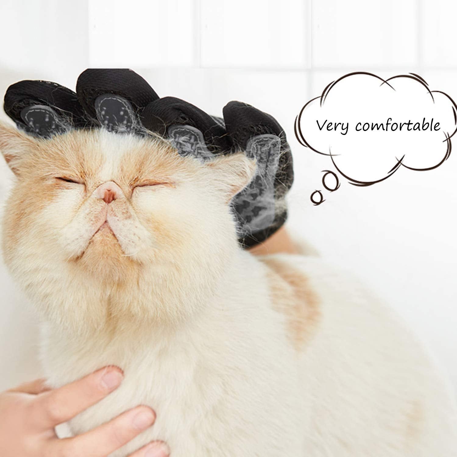 Luxury Pet Grooming Glove | Gentle Deshedding & Coat Care for Dogs, Cats & Horses
